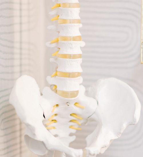 Treatable conditions through Chiropractic care at Seven Bridges Chiropractic